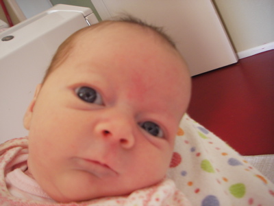 [Library+-+0001.jpg]