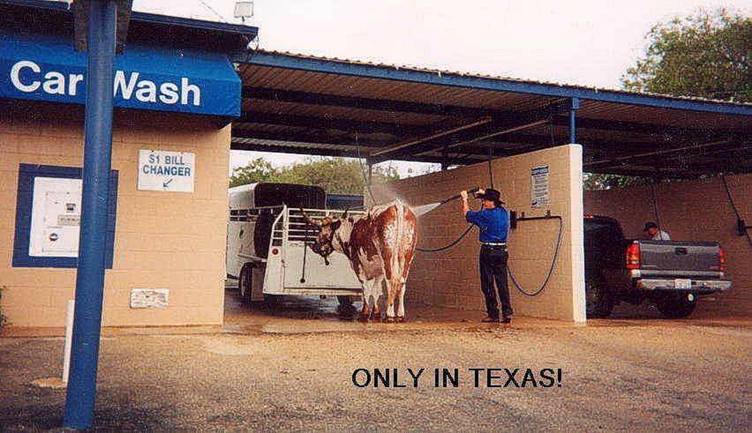 [only+in+texas.jpg]