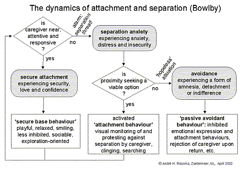a brief history of attachment theory A brief history of attachment theory what is attachment theory generally when we speak of attachment theory these days we are referring not just to the. a brief history of attachment theory A brief history of attachment theory what is attachment theory generally when we speak of attachment theory these days we are referring not just to the.