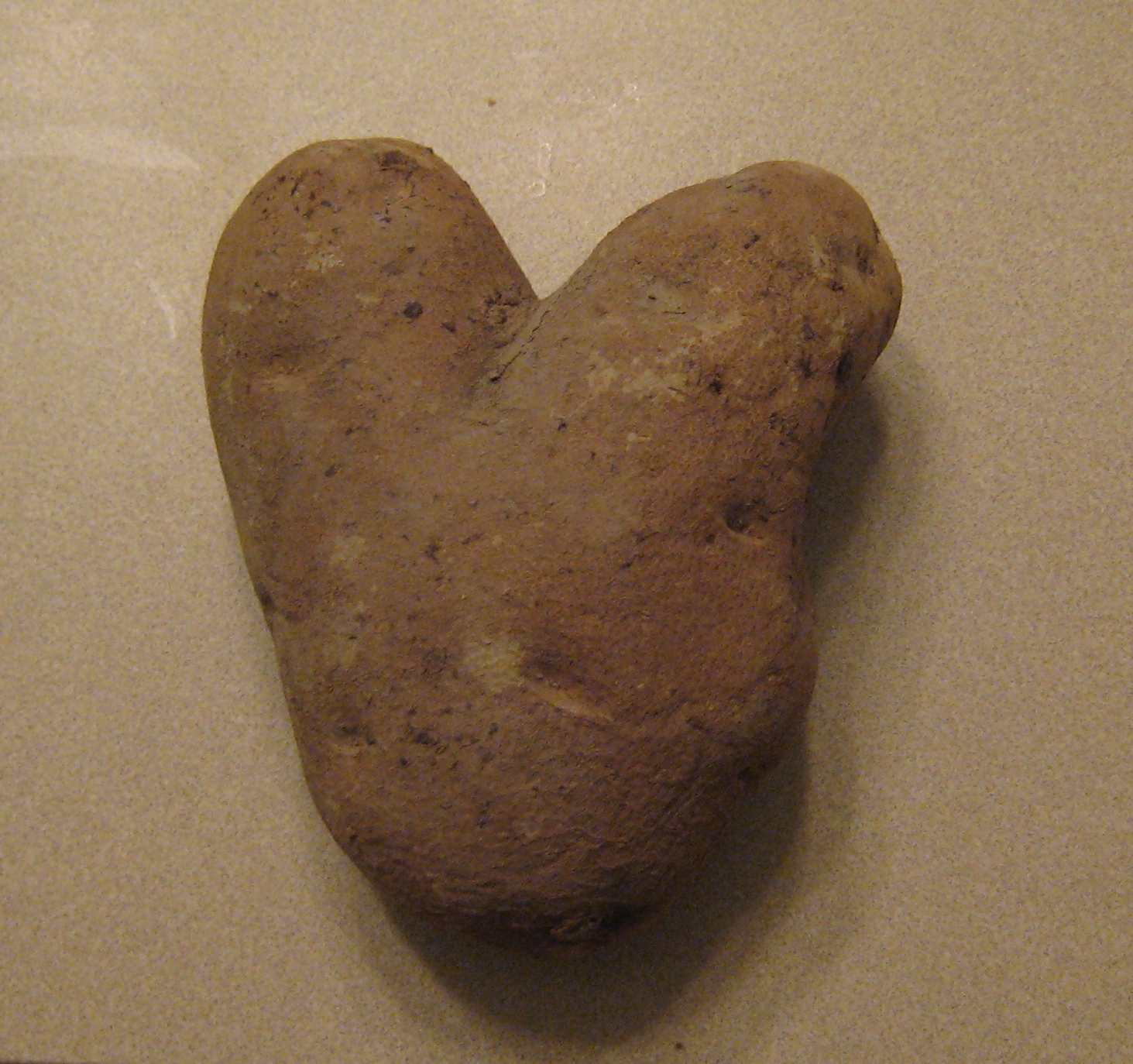 [heart+potato.JPG]