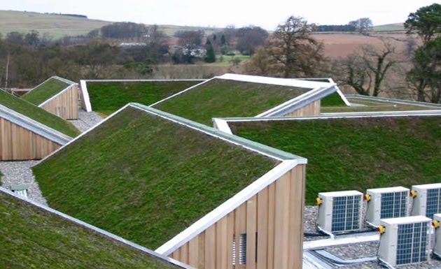 Techo Verde: Que es?