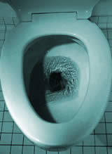 [toilet.jpg]