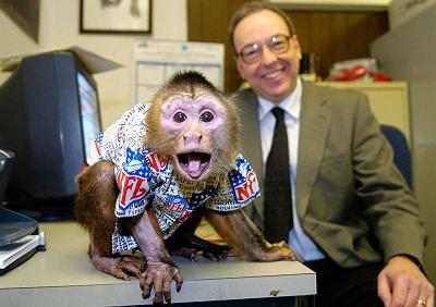 [mr.monk.stock.picking.monkey.jpg]