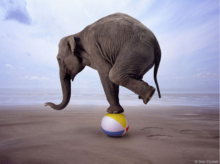 [GOP_Balancing_Act2.jpg]