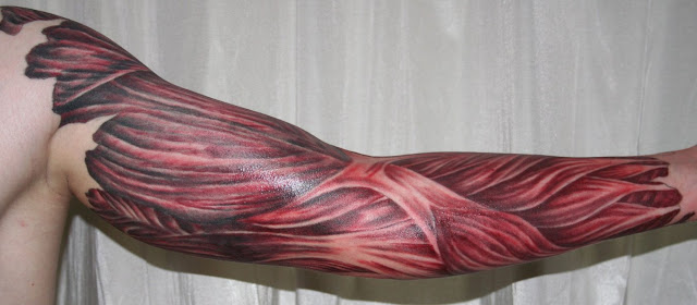 muscle tattoo. Tattoos; Tattoos. Bpositive. 03-17 04:53 PM muscle tattoo. muscle tattoo. Tattoos; Tattoos. Bpositive. 03-17 04:53 PM