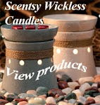 Scentsy Warmers