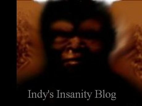 Indy's Insanity Blog