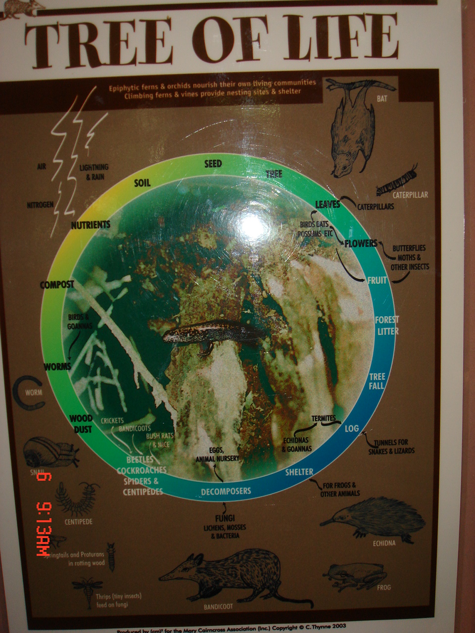 [DSC04363.JPG]