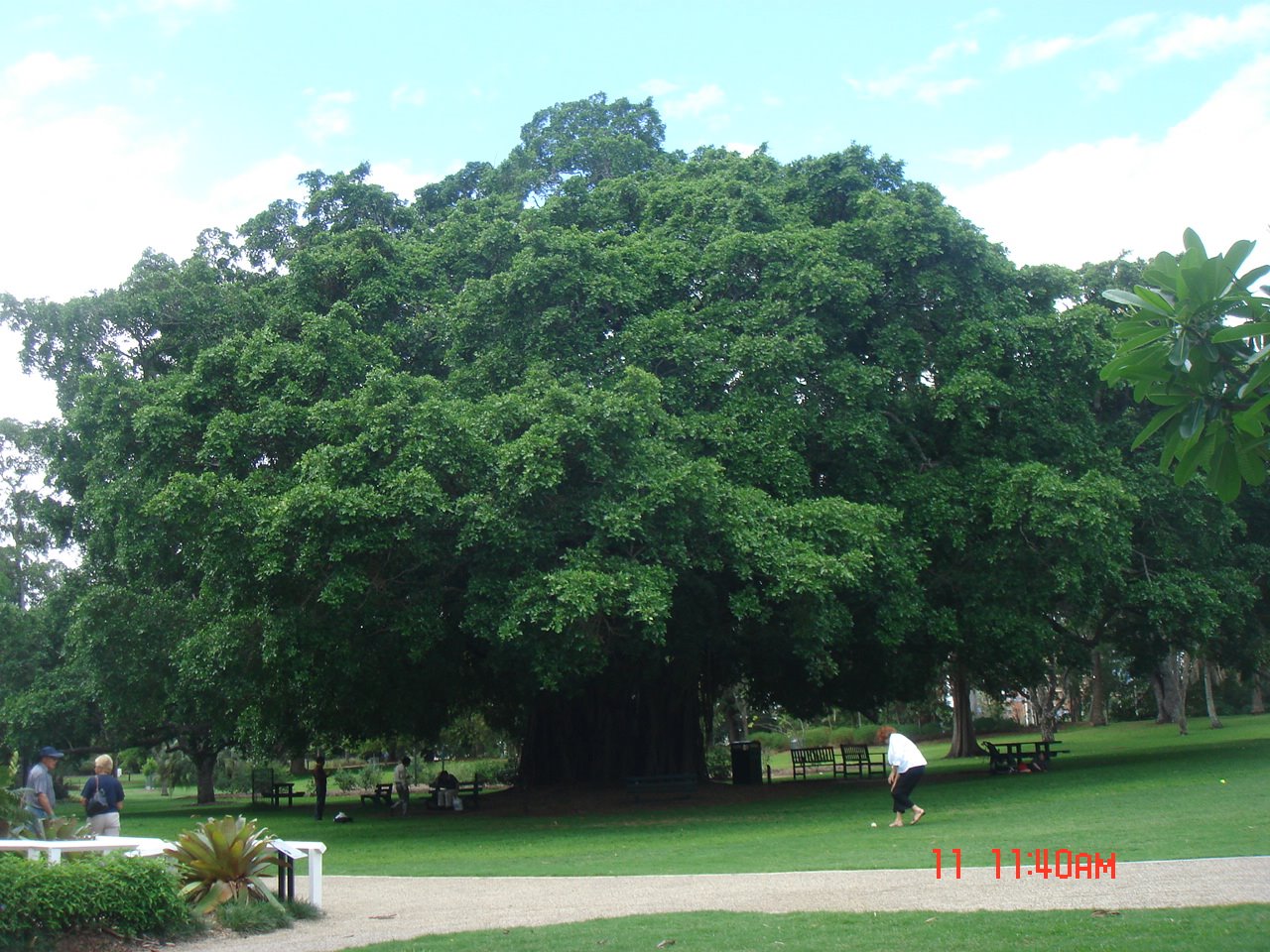 [DSC03365.JPG]