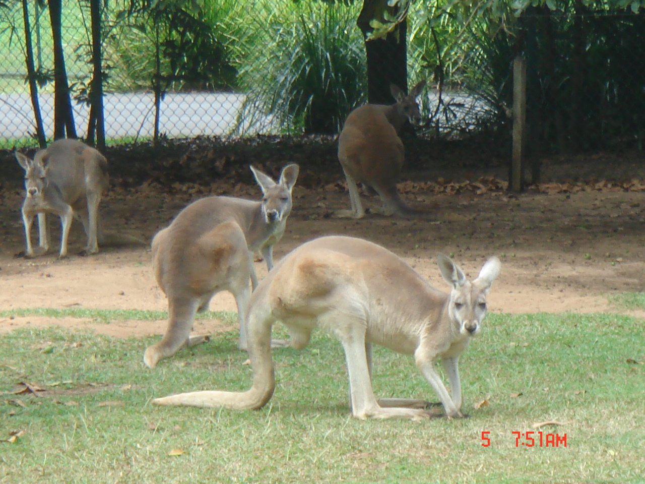 [DSC02762.JPG]