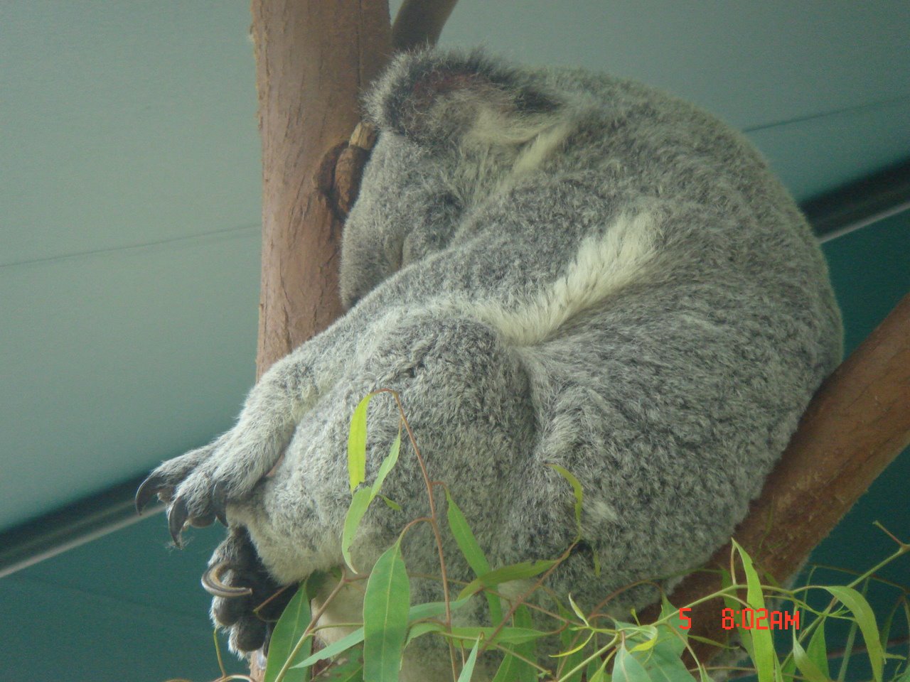 [DSC02772.JPG]