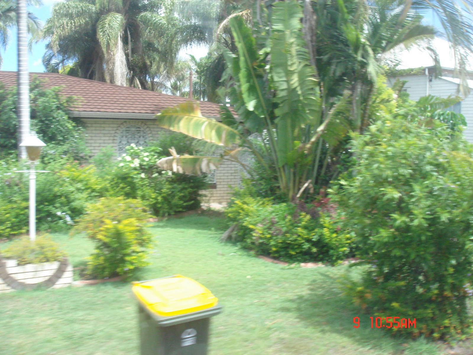 [DSC03186.JPG]