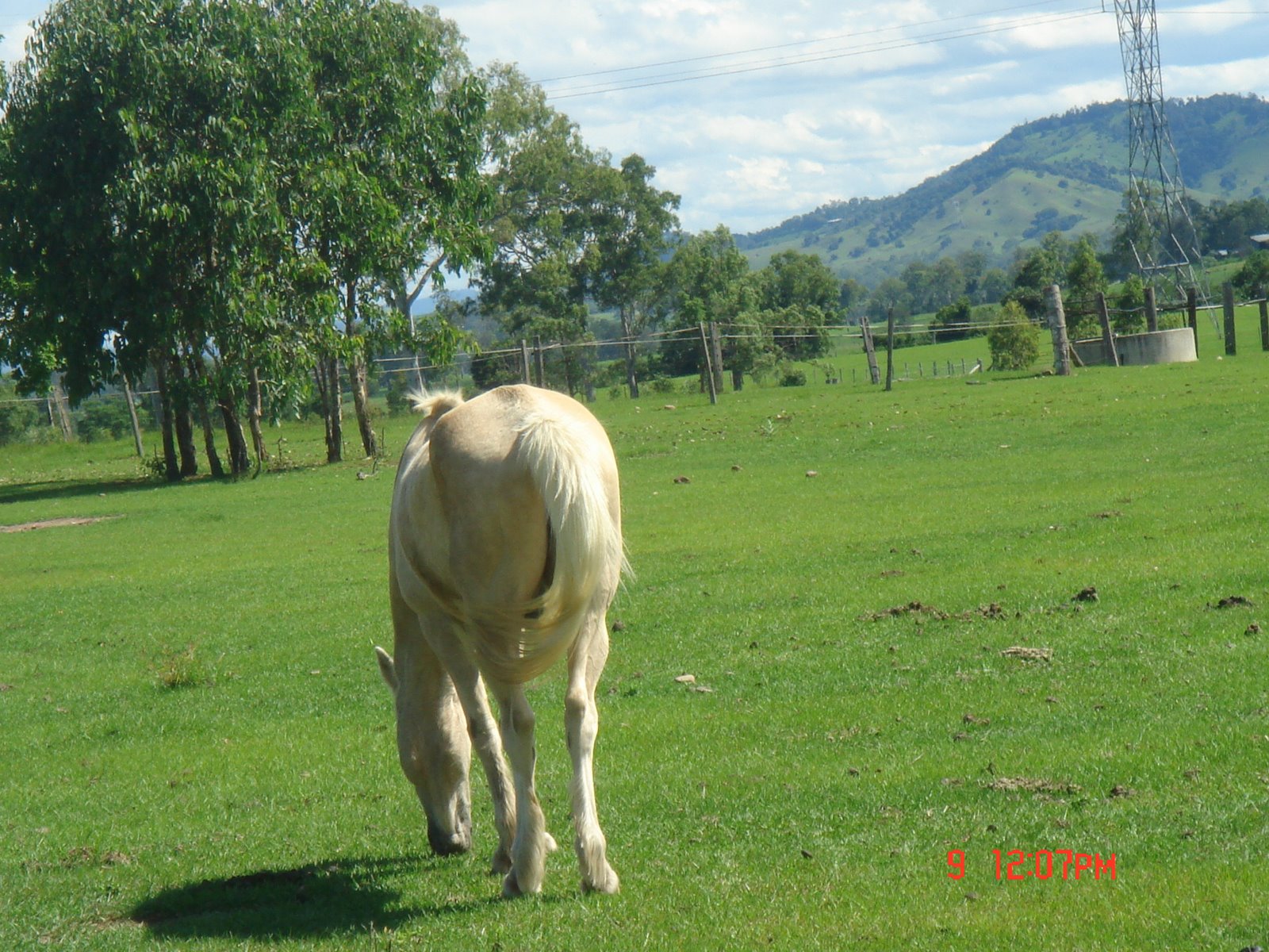 [DSC03227.JPG]