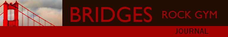 Bridges Rock Gym Journal