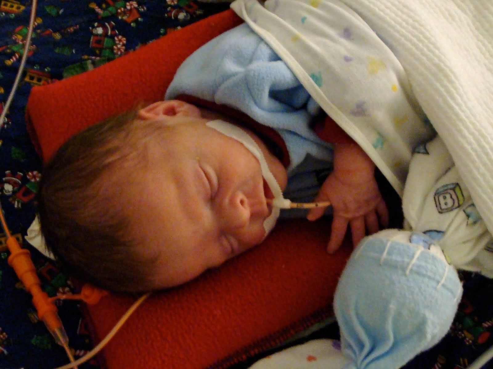 [DSC01114.JPG]