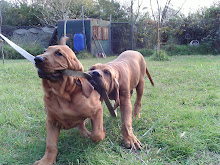 JUGANDO.....