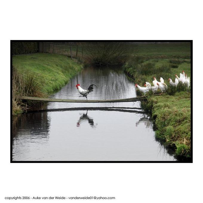 [!cid_BD06EF16A9AC4F7A9F8049E44C353CBF@taylor92a76b06.jpg]