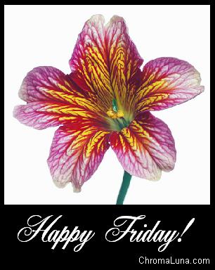 Saved M.O.M. (Mommie On a Mission): Friday Blessings