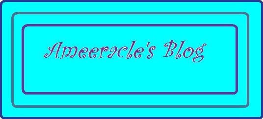 Ameeracle's Blog