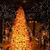 *CHRISTMAS PICS..*_*