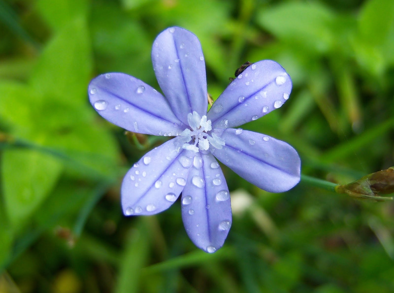 Preisliste Prix Courant Pdf Telechargement Gratuit