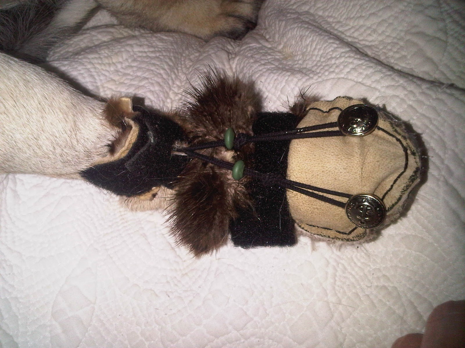 pug boots for dogs uggs for dogs pugs pug boots for dogs uggs for dogs pugs