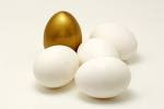 The Golden Egg