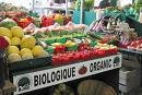 Organic Vision