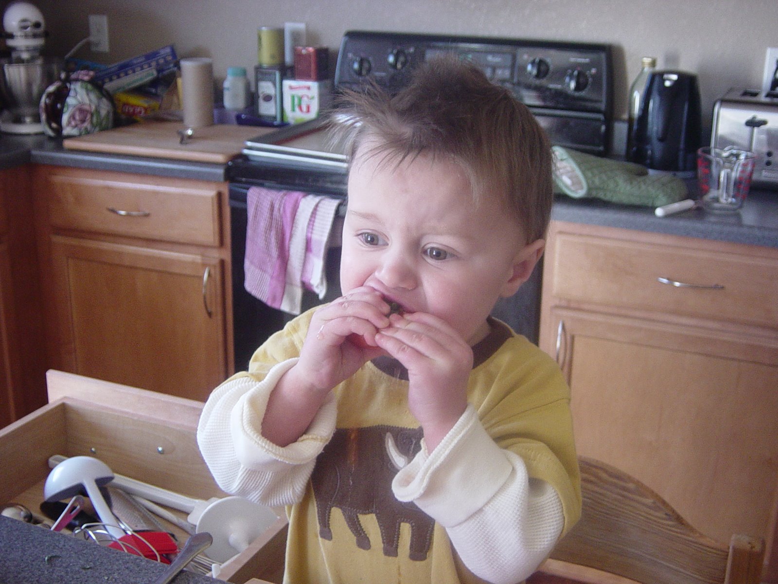 [DSC00010_1.JPG]