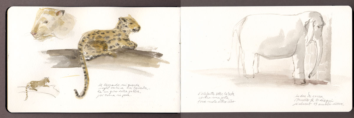 [leopardo.jpg]