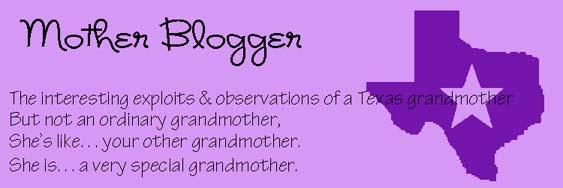 Mother Blogger