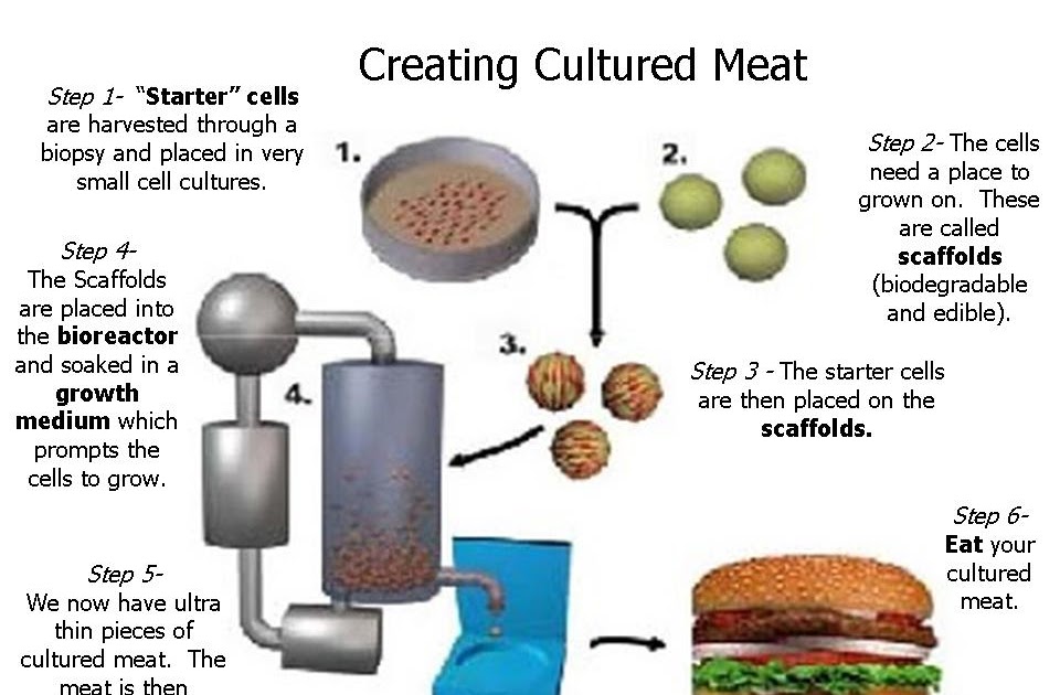 The Cultured Meat Blog Meet Cultured Meat how do they make that stuff?
