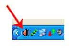 Realtek Audio Icon