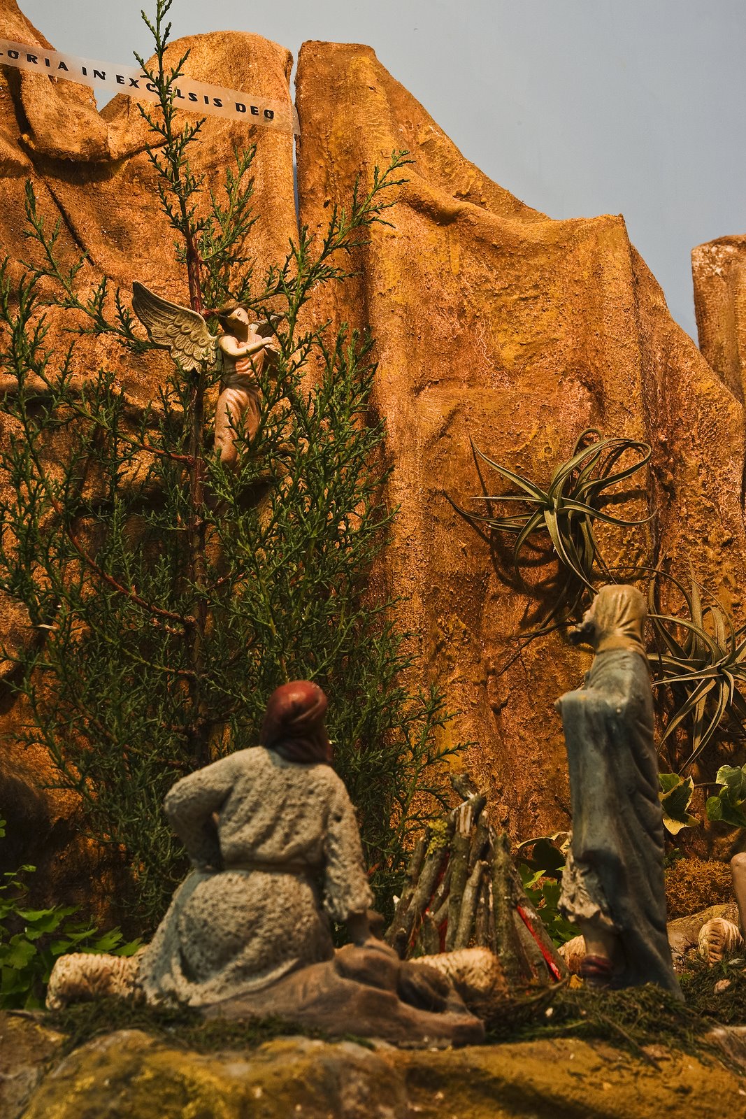 [Angel+en+el+arbol.jpg]