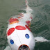 Hiroshima engineers develop robotic carp