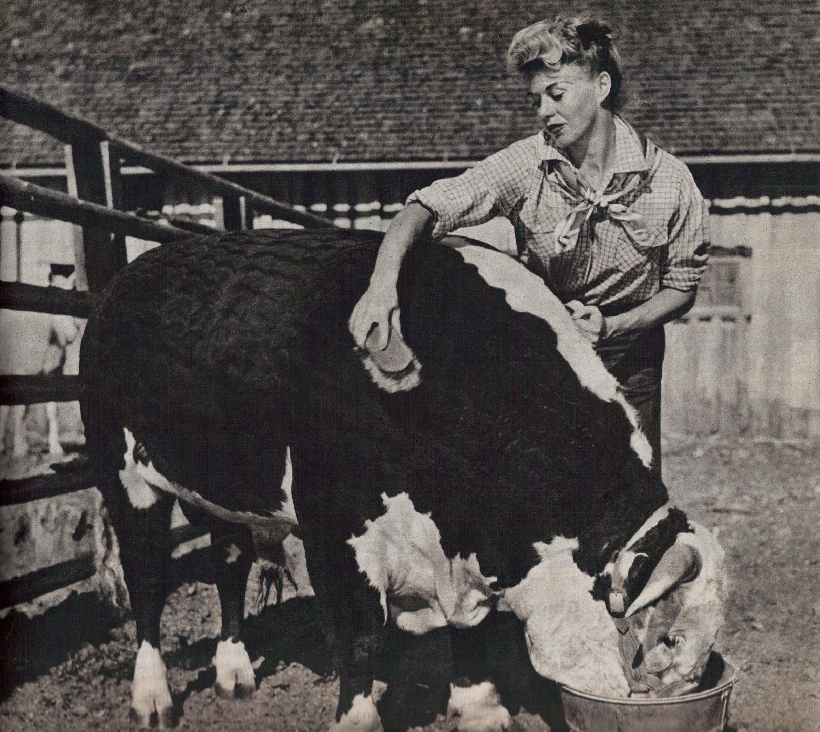 Gingerology Miss McMath she had a farm...