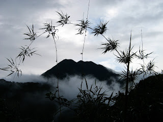 Sumaco