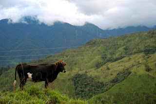 Outside Tapichalaca Reserve