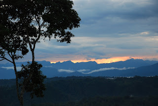 Cordillera de los Guacamayos