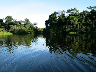 Oxbow Lake at Sani Lodge