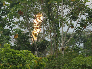 Burning Waste Gases at Oil Extraction Site