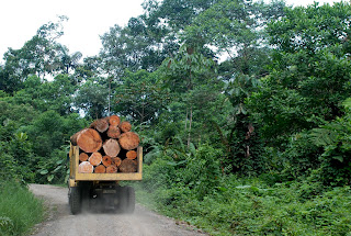 Botrosa Road