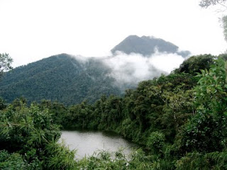 Sumaco