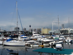 Yokohama Marina ?