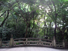 a pretty bridge in Meiji Jingu forest