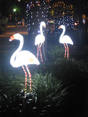 "Flamingo Boulevard"