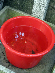 red bucket full of rain water