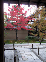 Fall Color in Zen Temple