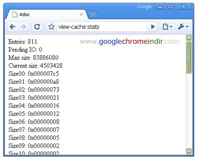 Google Chrome Ara Bellek Bilgileri