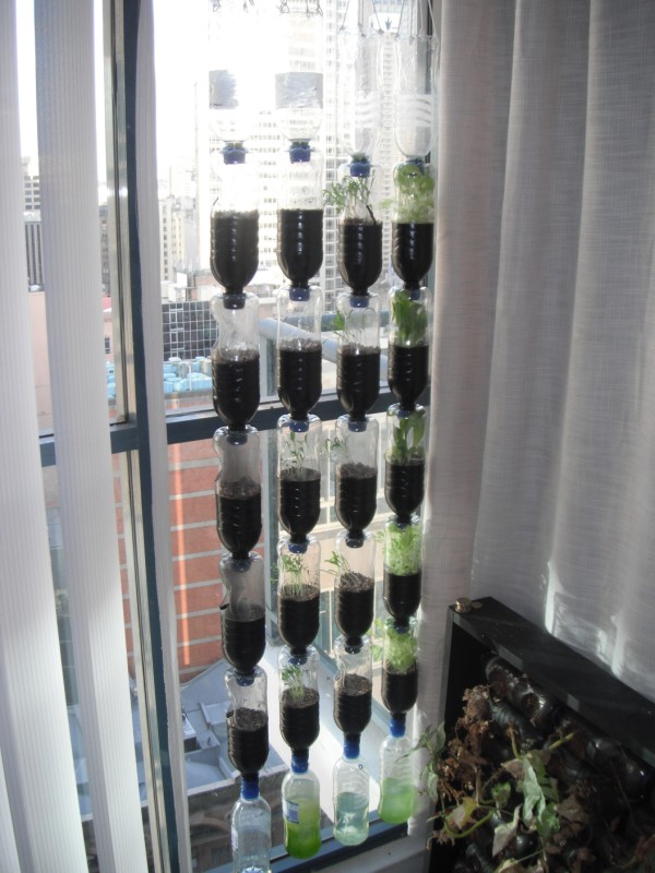 Urban Green Survival Hydroponic Bottle Garden
